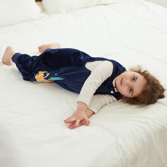 MICHLEY Dragon Toddler Sleeveless Sleeping Bag Winter Polyester Wearable Blanket